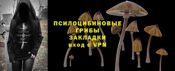 таблы Михайловск