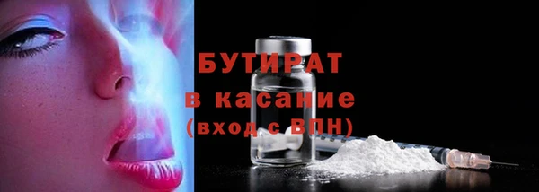 шишки Медвежьегорск
