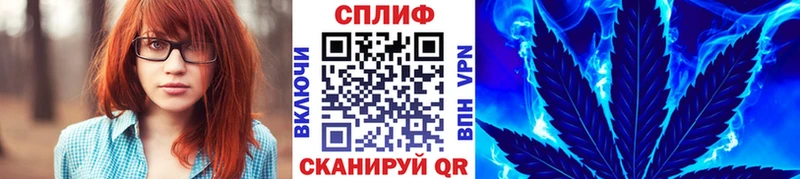 Бошки марихуана гибрид  Пойковский 